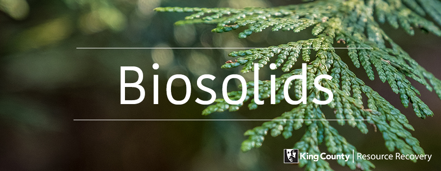 fir tree branch with blurred background and the text BIOSOLIDS over the top of the photo