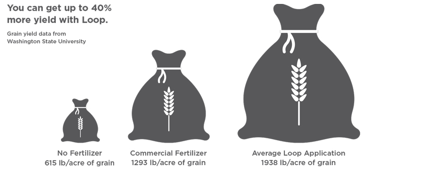 Graphic depicting three bags of grain yield with no fertilizer (small bag), with commercial fertilizer (medium bag) and with average Loop application (large bag)