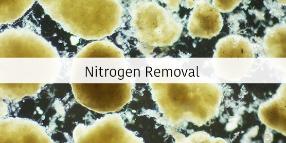 Microscopic material with title "Nitrogen Removal"
