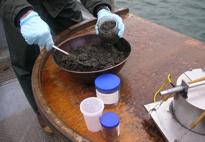 collecting a sample from a core sample