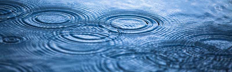 Protecting our waters logo