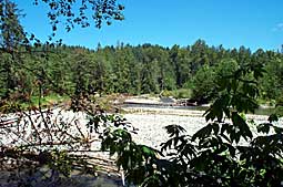 Tolt River Natural Area picture
