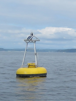 Point Williams buoy