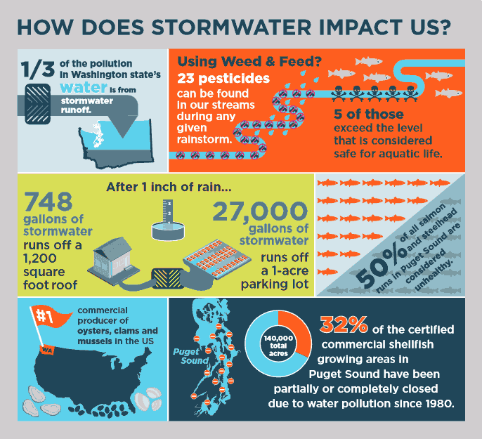 Download infographic: How does stormwater impact us?