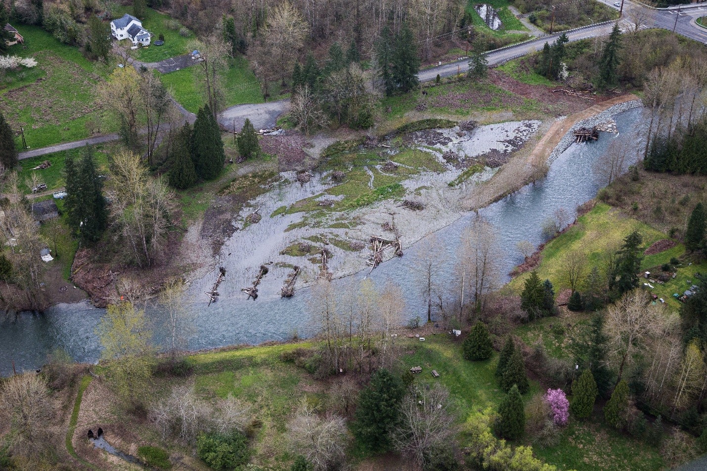 An established King County in-lieu fee mitigation site (Elliott Bridge Reach Off-Channel Wetland & Floodplain Reconnection, 2017)