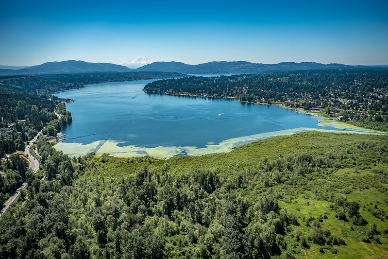 North End of Lake Sammamish