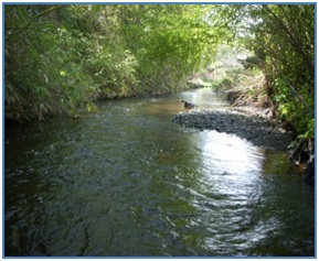 Photo of Swamp Creek