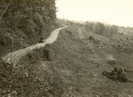 West side road along the Snoqualmie Valley near Vincent, now West Snoqualmie Valley Road, looking north, n.d. Courtesy of King County Archives.
