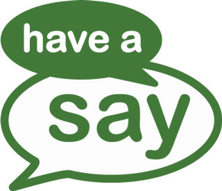 Have a Say logo
