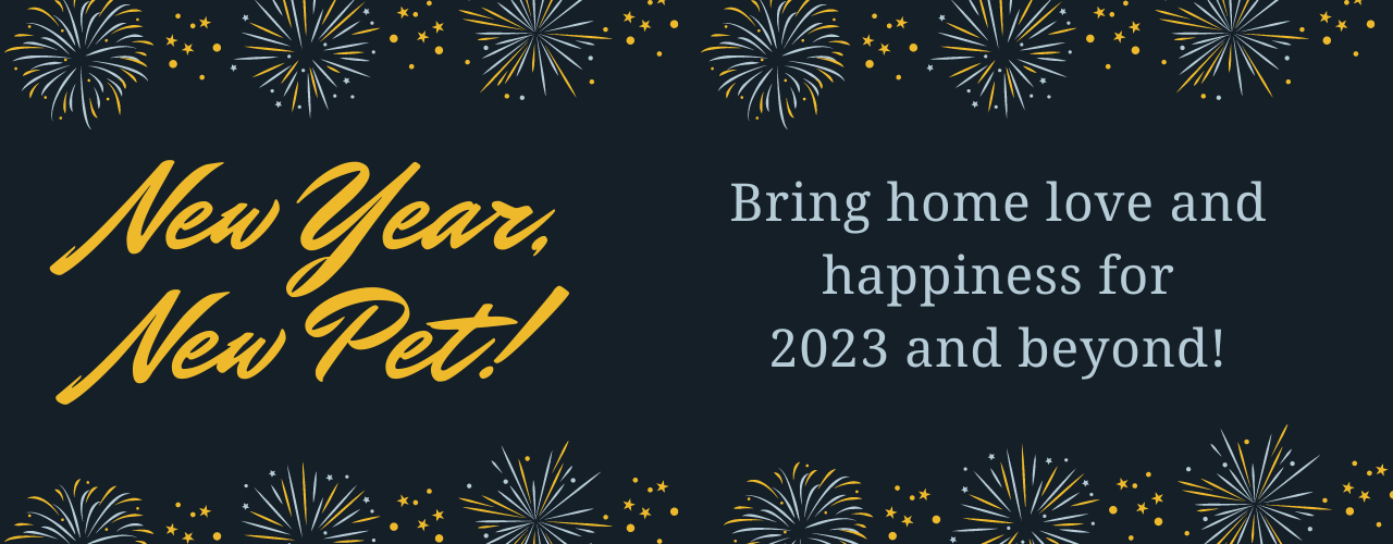 Graphic with text: New Year, New Pet! Bring home love and happiness for 2023 and beyond!