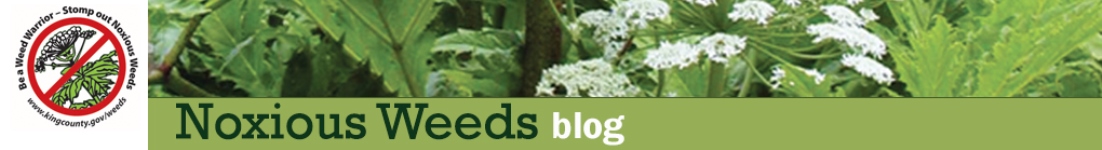 Noxious-weeds-blog-header-1100x150