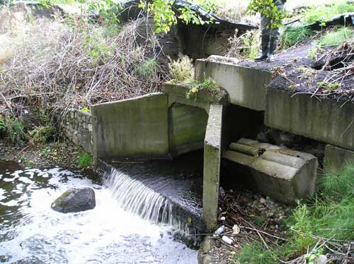 Photo of culvert at S. 160th St. on Port of Seattle property