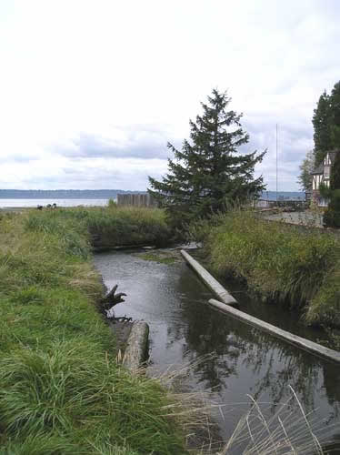 Photo of Miller Creek near its mouth on Puget Sound