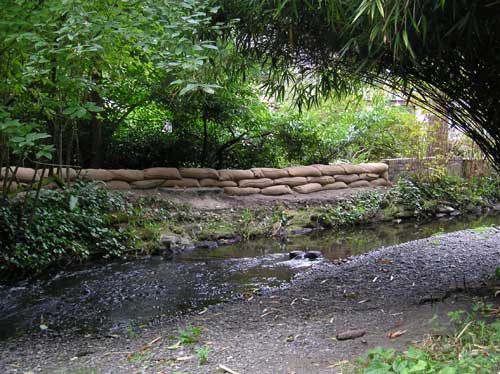 Photo of Miller Creek showing sandbags installed by property owner to protect against flooding