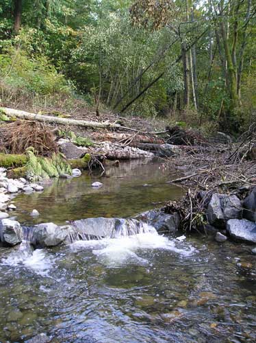 Photo showing restored section of Miller Creek at 2007 pipeline repair