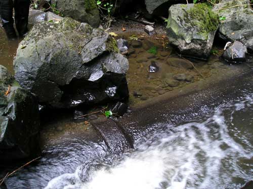 Photo showing exposed sewer pipe in Miller Creek