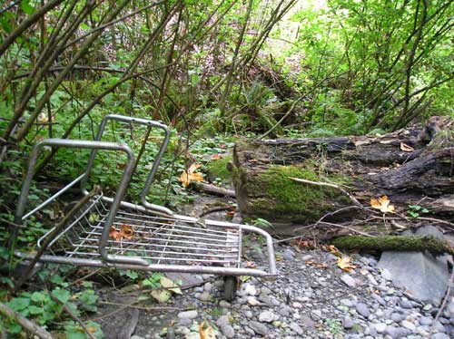 Photo of Miller Creek showing abandoned shopping cart