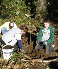 Photo of three people planting a tree (Miller Creek Renewal at S. 144th Way in Burien October 2007)