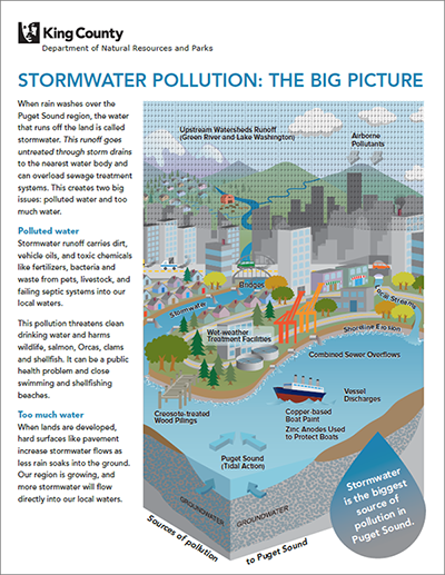 Stormwater pollution - the big picture